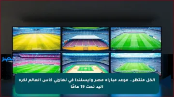 الكل منتظر.. موعد مباراة مصر وأيسلندا في نهائي كأس العالم لكرة اليد تحت 19 عامًا